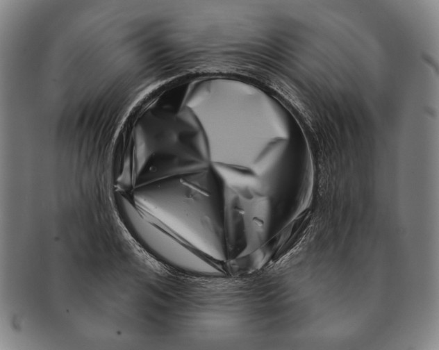 X0000091210984200708301424