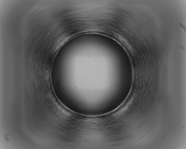 X0000091210985200708301424