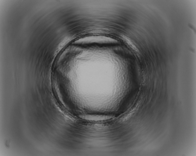 X0000091210986200708301424