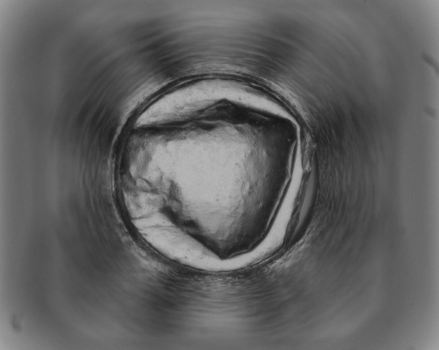 X0000091210987200708301424