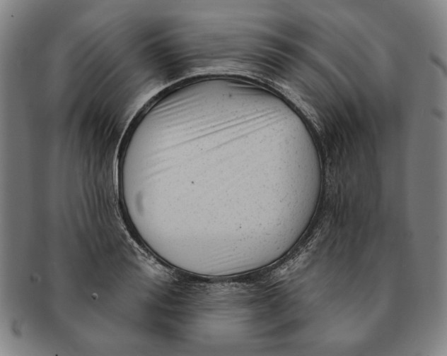 X0000091210988200708301424