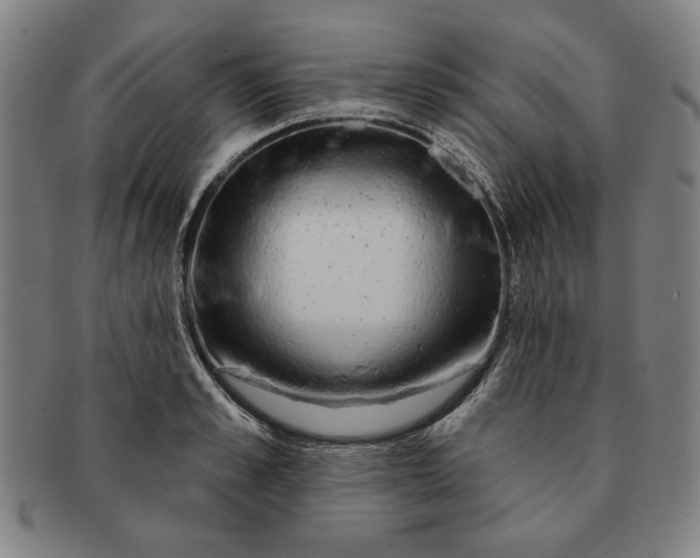 X0000091210989200708301424