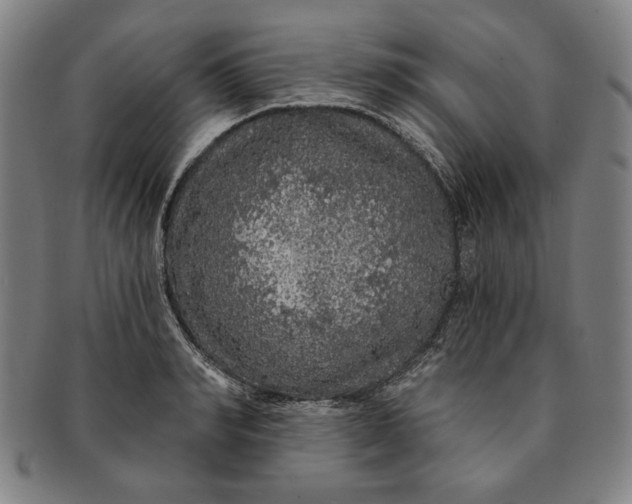 X0000091210990200708301424