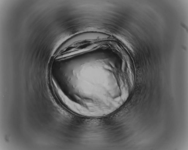 X0000091210991200708301424