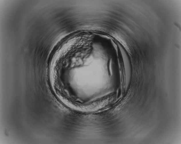 X0000091210992200708301424