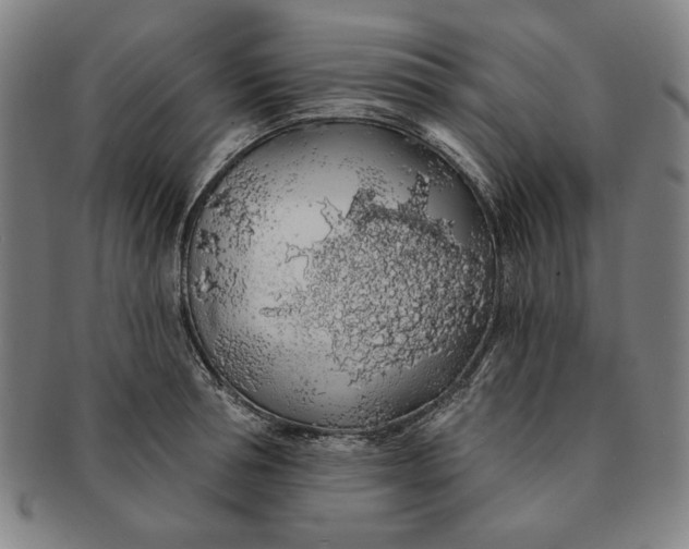 X0000091210994200708301424