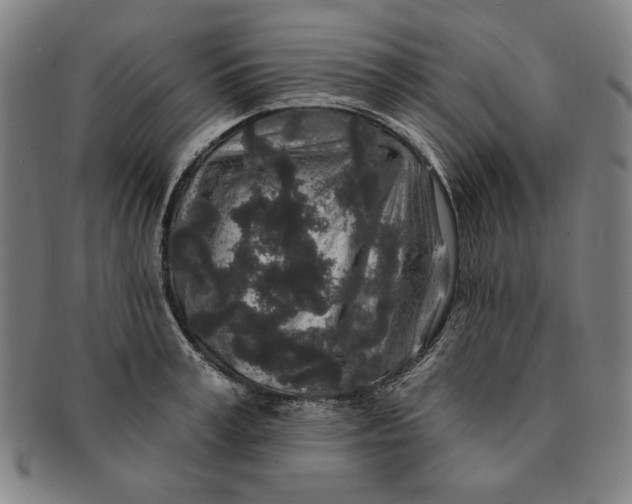 X0000091210995200708301424