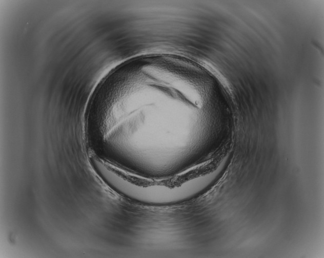 X0000091210996200708301424