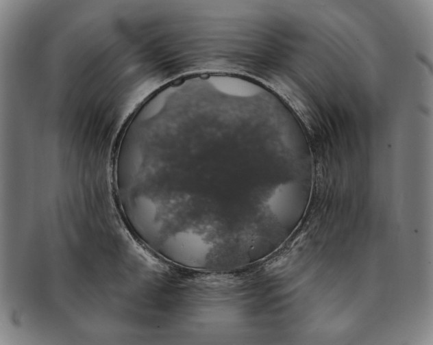 X0000091210998200708301424