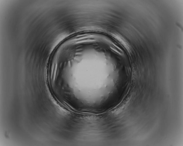 X0000091210999200708301424