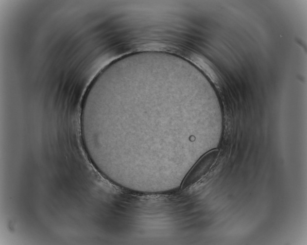 X0000091211000200708301424