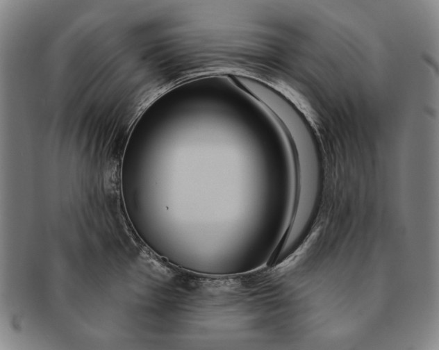 X0000091211001200708301424