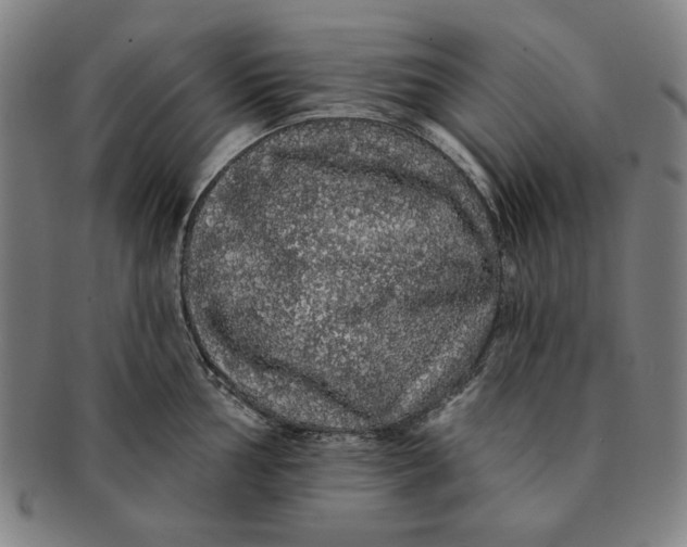 X0000091211002200708301424