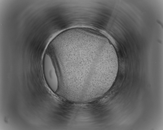 X0000091211004200708301424