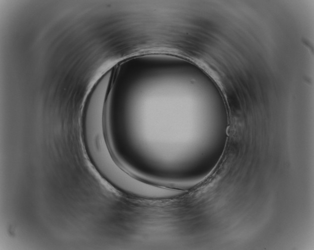 X0000091211005200708301424