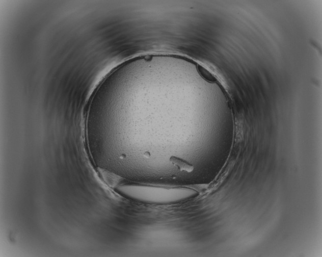 X0000091211006200708301424