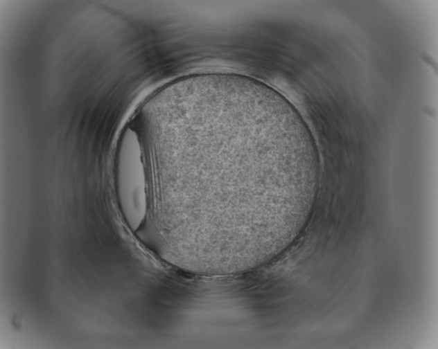 X0000091211008200708301424