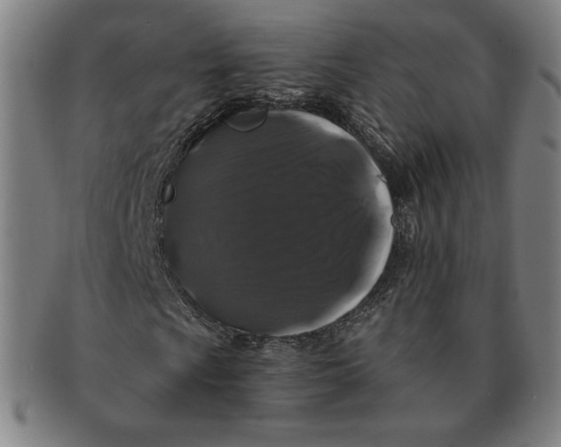 X0000091211009200708301423