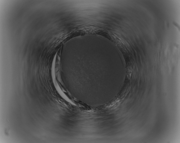 X0000091211010200708301423