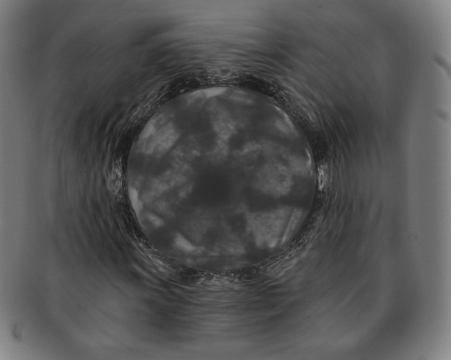 X0000091211011200708301423