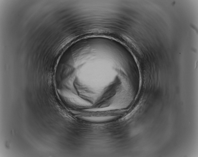 X0000091211017200708301423