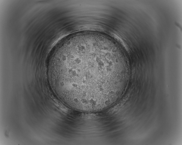 X0000091211019200708301423