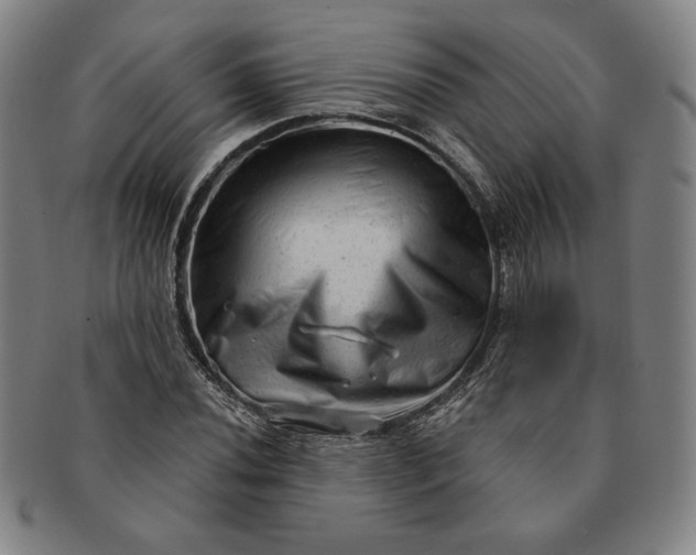 X0000091211020200708301423