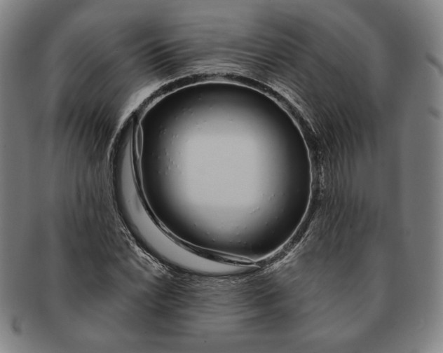 X0000091211022200708301423