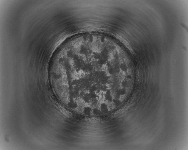 X0000091211023200708301423