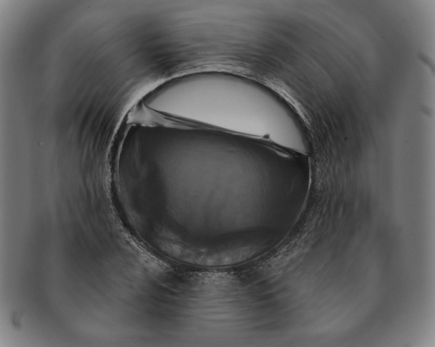 X0000091211024200708301423