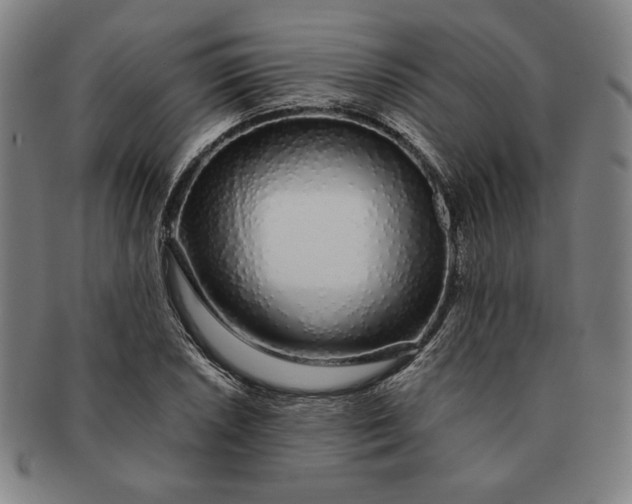 X0000091211026200708301423