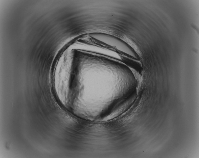 X0000091211028200708301423