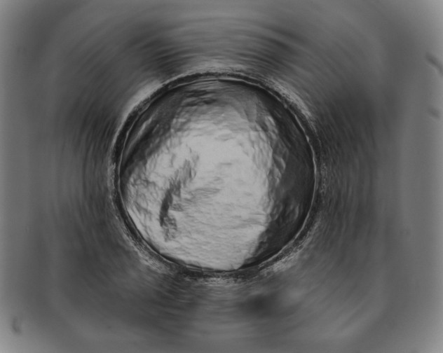 X0000091211029200708301423