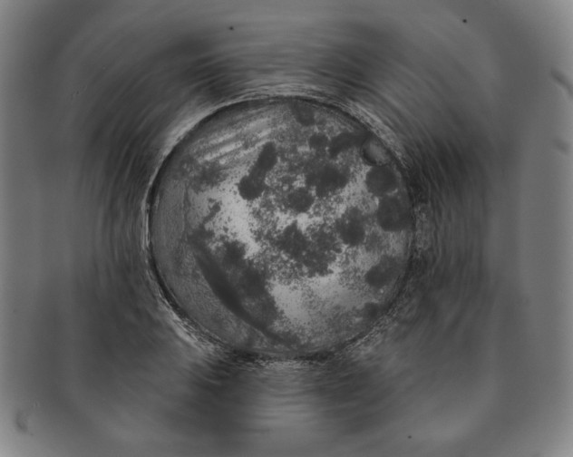 X0000091211031200708301423