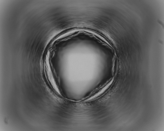 X0000091211032200708301423