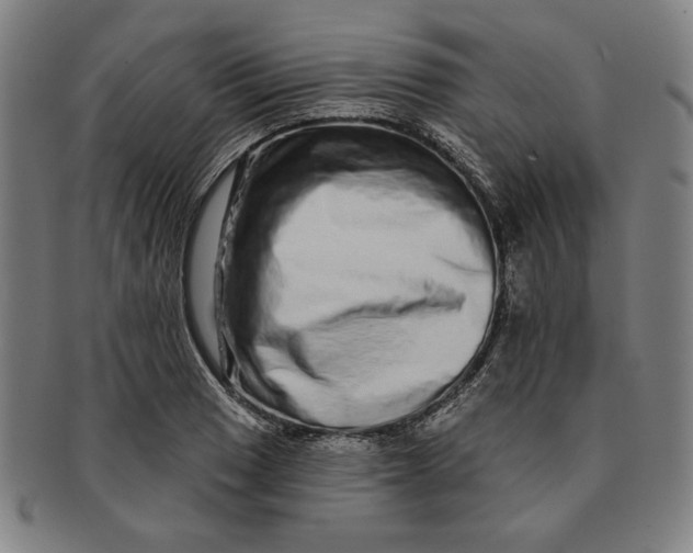 X0000091211033200708301423