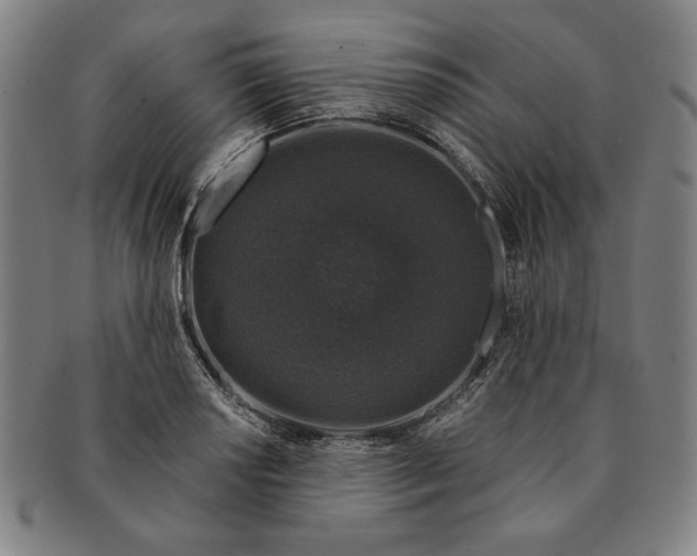 X0000091211034200708301423