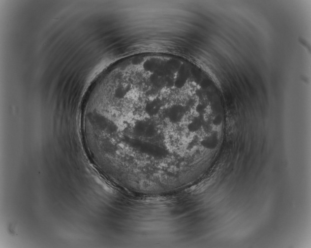 X0000091211035200708301423