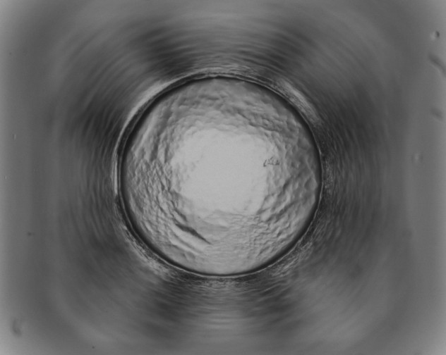 X0000091211036200708301423