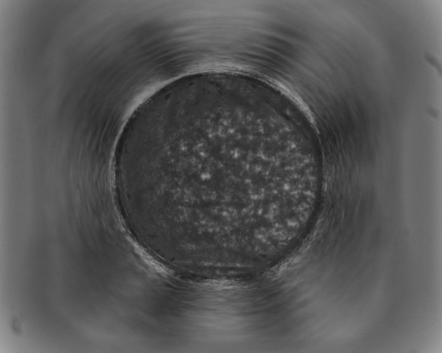 X0000091211037200708301423