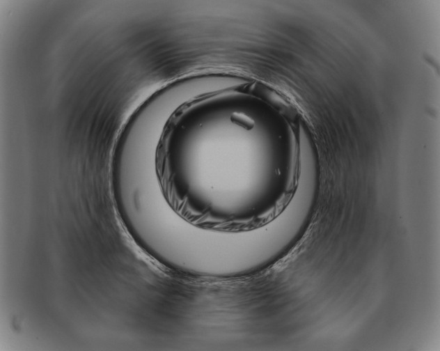 X0000091211038200708301423