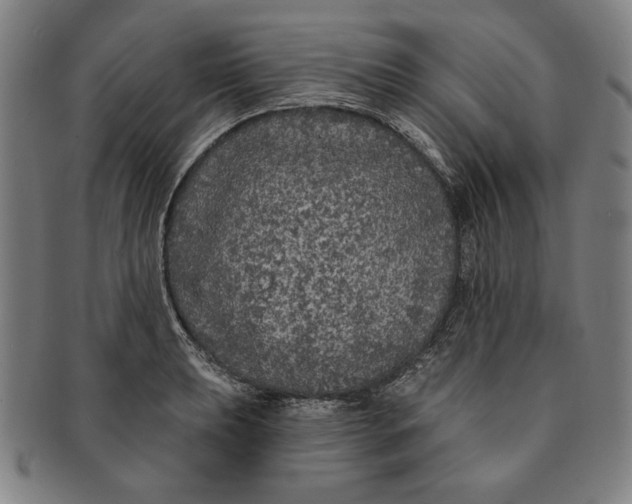 X0000091211039200708301423