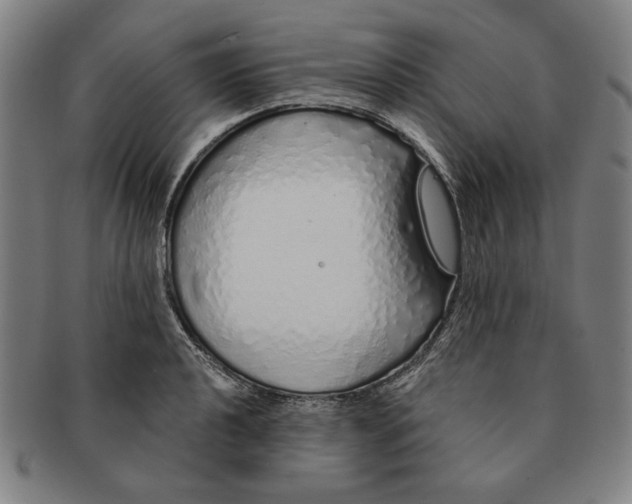 X0000091211040200708301423