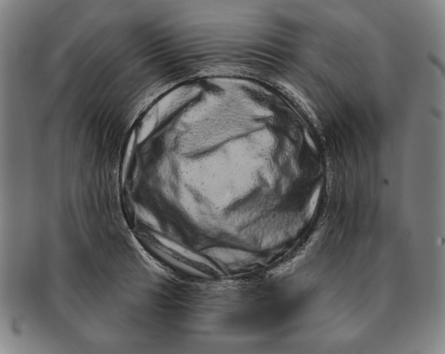 X0000091211041200708301423