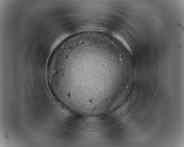 X0000091211043200708301423