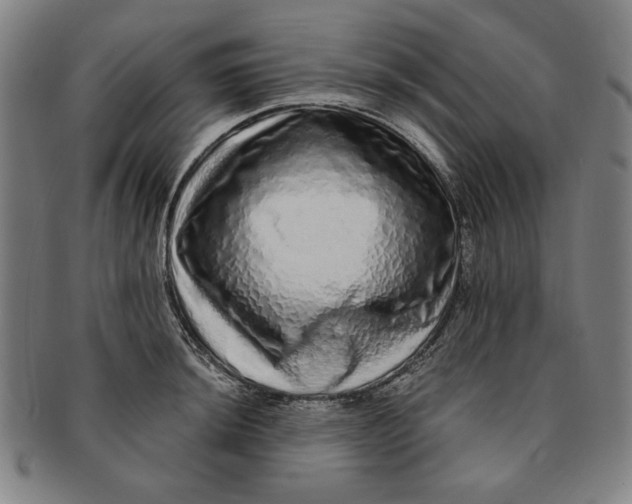 X0000091211044200708301423