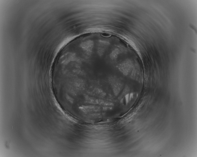 X0000091211045200708301423