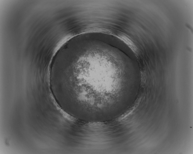 X0000091211046200708301424