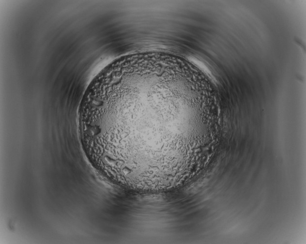 X0000091211047200708301424