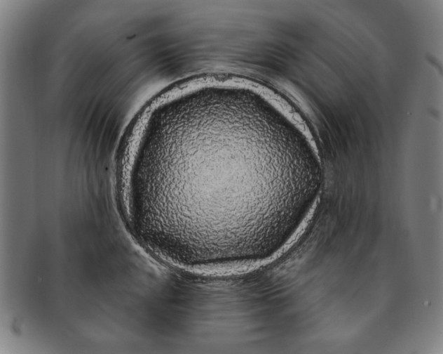 X0000091211048200708301424